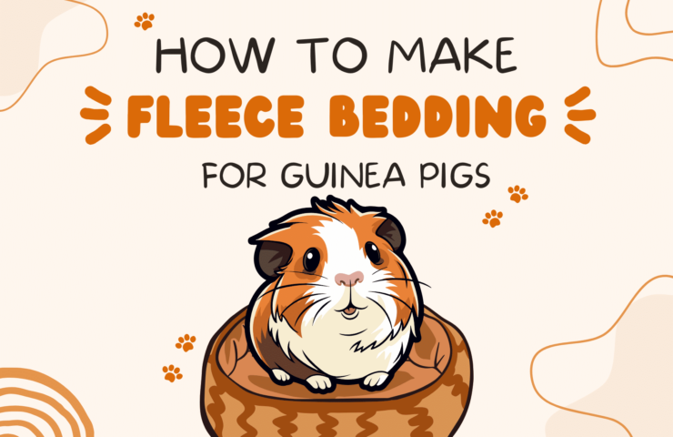 How to Make Fleece Bedding for Guinea Pigs