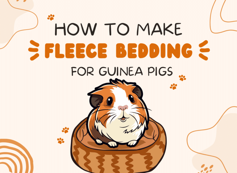 How To Make Fleece Bedding For Guinea Pigs