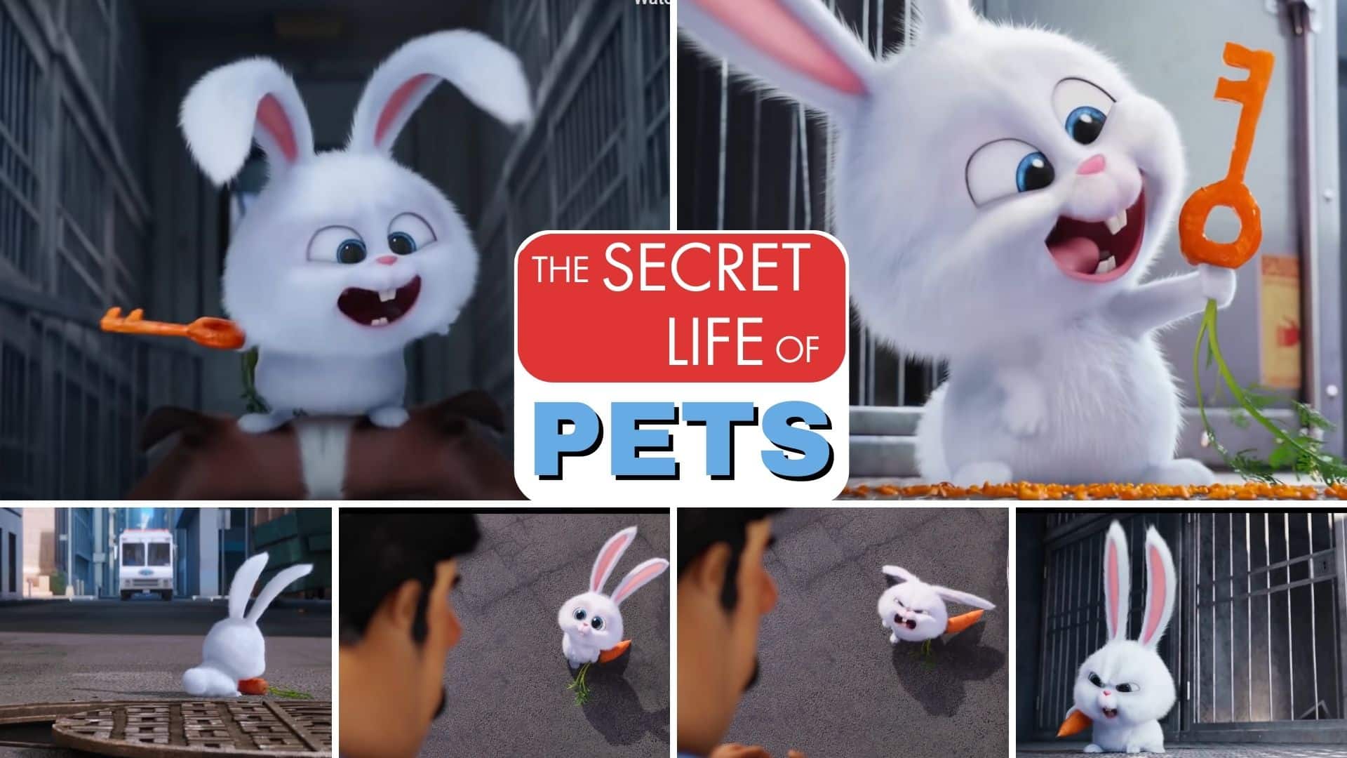 The Secret Life Of Pets