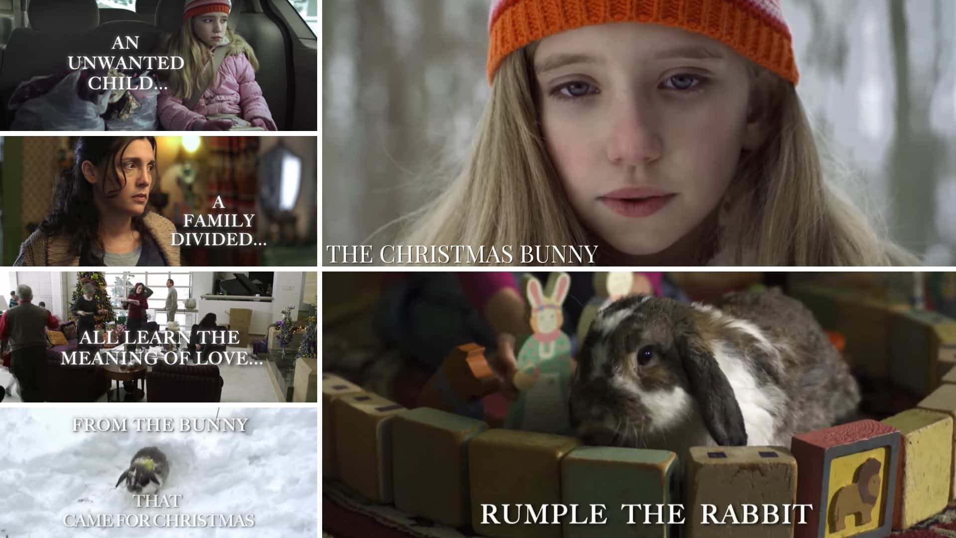The Christmas Bunny, Movies About Rabbits
