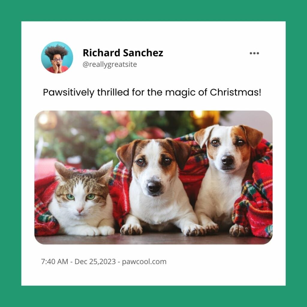 Holiday Joy And Excitement 6 - Christmas Dog Captions | Pawcool ™